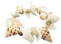 Детский набор для исcледований Buki BK441 фото №3 — интернет-магазин Desire.md