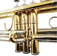 Trompete Parrot 6416L-1 imaginea #2 — magazin online Desire.md