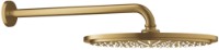 Cap de duș Grohe Rainshower (26066GN0) imaginea #1 — magazin online Desire.md