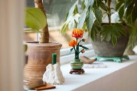 Set de construcție Lego Icons: Chrysanthemum (10368) imaginea #3 — magazin online Desire.md