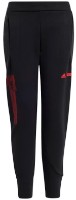 Pantaloni spotivi pentru copii Adidas J Sw Zne Pnt Black/Bright Red, s.176 imaginea #1 — magazin online Desire.md