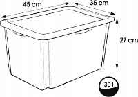 Container pentru jucării Keeeper Peppa Pig Transparent (12238001) 30L imaginea #2 — magazin online Desire.md