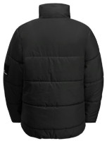 Детская куртка Jack Wolfskin Teen Ins Jacket Y Granite Black, s.152 фото №2 — интернет-магазин Desire.md