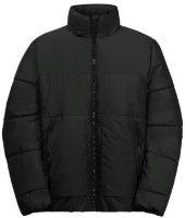 Детская куртка Jack Wolfskin Teen Ins Jacket Y Granite Black, s.164 фото №1 — интернет-магазин Desire.md