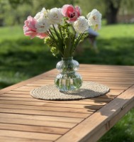 Садовый стол MobiCasa Hodina Stejar 153x70 фото №4 — интернет-магазин Desire.md