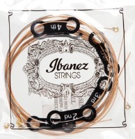 Струны Ibanez IACSP61C фото №2 — интернет-магазин Desire.md