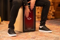 Cajon Meinl AETLRF imaginea #4 — magazin online Desire.md