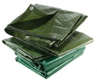 Тент Greentech 150gr (2x10) Green фото №1 — интернет-магазин Desire.md