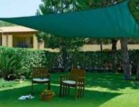 Plase AnlemaCom 60% 40gr H:4m/100 Green imaginea #3 — magazin online Desire.md