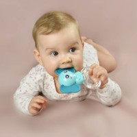 Игрушка-прорезыватель Akuku A0450 фото №2 — интернет-магазин Desire.md