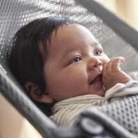 Șezlong pentru bebeluși BabyBjorn Bliss Grey Mesh (006018A) imaginea #3 — magazin online Desire.md