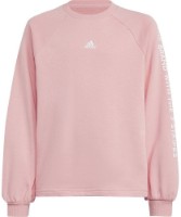 Детская толстовка Adidas Jg Jam Crew Semi Pink Spark/White, s.128 фото №1 — интернет-магазин Desire.md