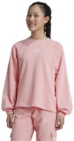 Детская толстовка Adidas Jg Jam Crew Semi Pink Spark/White, s.170 фото №2 — интернет-магазин Desire.md