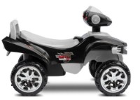 Толокар Caretero Mini Raptor Grey фото №5 — интернет-магазин Desire.md