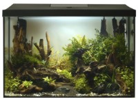 Acvariu Aquael Set Leddy 60 XL D&N 2.0 124283