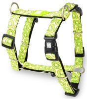 Ham Max & Molly Kiwi 192014 S