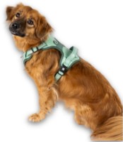 Шлейка Max & Molly Sport Matrix 2.0 Jade 305063 L фото №2 — интернет-магазин Desire.md