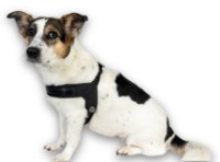 Ham Max & Molly Q-Fit Matrix 2.0 Black 301032 S imaginea #2 — magazin online Desire.md