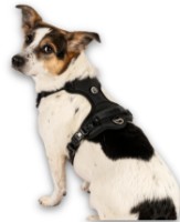 Шлейка Max & Molly Sport Matrix 2.0 Black 301062 M фото №2 — интернет-магазин Desire.md