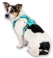 Шлейка Max & Molly Sport Matrix 2.0 Turquoise 306064 XL фото №2 — интернет-магазин Desire.md