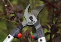 Foarfecă de gradină ARS LPB-30S imaginea #2 — magazin online Desire.md