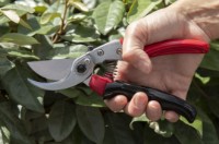 Ножницы садовые (секаторы) ARS VS-8XR фото №5 — интернет-магазин Desire.md