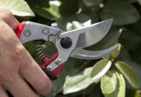 Ножницы садовые (секаторы) ARS VS-8XR фото №6 — интернет-магазин Desire.md