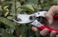 Ножницы садовые (секаторы) ARS VS-8XZ фото №5 — интернет-магазин Desire.md