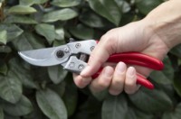 Ножницы садовые (секаторы) ARS VS-8XZ фото №6 — интернет-магазин Desire.md