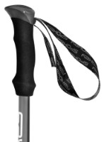 Треккинговые палки Spokey Zion Black (929460) фото №4 — интернет-магазин Desire.md