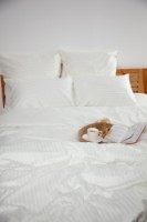 Lenjerie de pat Relaxe Home TEP Stripe Satin Pure White 200x220 (019331) imaginea #2 — magazin online Desire.md