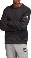 Hanorac pentru bărbați Adidas Stadium Cr Black/Grey Six, s.S imaginea #2 — magazin online Desire.md