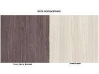 Шкаф Астрид-Мебель София 11 Шкаф Анкор Тёмный/Сосна Нордик фото №3 — интернет-магазин Desire.md