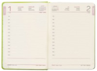 Agendă Idee A5/168p Lime Green 2025 imaginea #2 — magazin online Desire.md