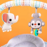 Leagăn pentru bebeluși Bright Starts Whimsical Wild (11803) imaginea #9 — magazin online Desire.md