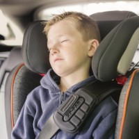 Protecție Recaro XP-PAD (2000031100) imaginea #5 — magazin online Desire.md