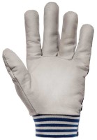 Перчатки для работы Cabra PLSTRSCB10 фото №2 — интернет-магазин Desire.md