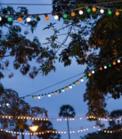 Гирлянда Forever Light Garland 12m + 10 bulbs G45 White/Pink/Blue 2W фото №2 — интернет-магазин Desire.md