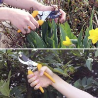 Ножницы садовые (секаторы) Gruntek 295108226 фото №4 — интернет-магазин Desire.md