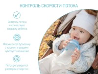 Бутылочка для кормления Roxy Kids 260ml 6+ (RBTL-003) фото №2 — интернет-магазин Desire.md