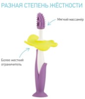 Periuta de dinti pentru copii Roxy Kids 2pcs (RTB-004) imaginea #4 — magazin online Desire.md