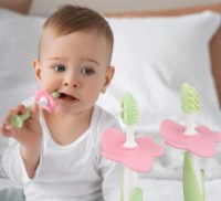 Periuta de dinti pentru copii Roxy Kids 2pcs (RTB-006) imaginea #3 — magazin online Desire.md