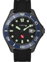 Наручные часы Timex TW2W21100