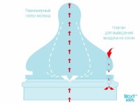 Соски для бутылочек Roxy Kids 6+ 2pcs (RBTL-003-L) фото №4 — интернет-магазин Desire.md