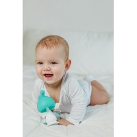Игрушка-прорезыватель Roxy Kids Mushroom Mint (RST-001-B) фото №5 — интернет-магазин Desire.md