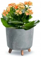 Ghiveci Prosperplast Gracia DGTL300LE-422U imaginea #3 — magazin online Desire.md