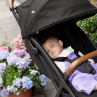 Коляска Joie Pact Pro Shale (S2308AASHA000) фото №9 — интернет-магазин Desire.md