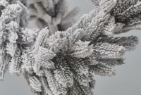 Хвойные украшения Divi Trees Collection Garland Premium Snow 2.7m фото №2 — интернет-магазин Desire.md