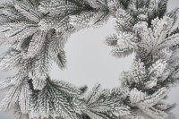 Новогодний венок Divi Trees Crown Premium Snow 45cm фото №2 — интернет-магазин Desire.md