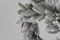 Новогодний венок Divi Trees Crown Premium Snow 45cm фото №4 — интернет-магазин Desire.md